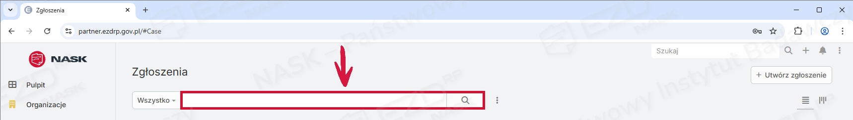 Zaznaczone pole wyszukiwarki