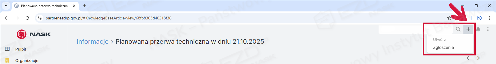 Zaznaczona ikona plusa